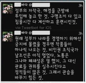 정부의 자작극이라는 SNS 유포 글.