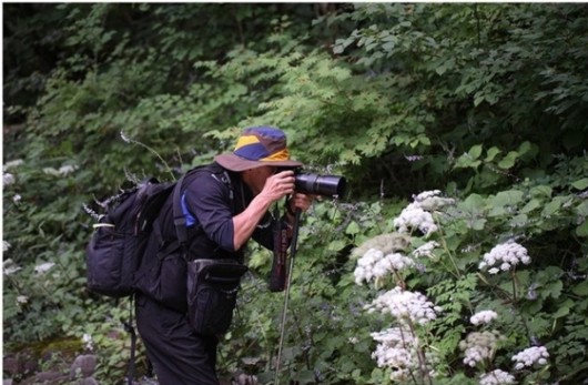 조식제 교수, ‘특허로 만나는 우리 약초2’ 펴내