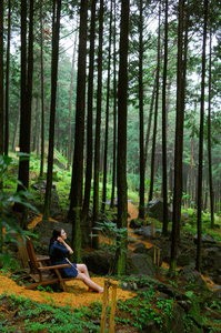 오월 끝자락의 ‘휴식’ 전남 장흥.. 세상에 지친 마음, 놓다