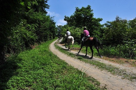 계룡산을 끼고 있는 충남 공주는 몸과 마음을 풀어놓을 수 있는 힐링 여행지다. 인적 드문 계룡산 자락 상하신계곡(위 사진)에서는 편안한 휴식을 취할 수 있고, 친환경 산길이 조성된 무성산에서는 승마나 산악자전거를 즐길 수 있다.