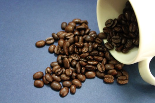 여름철 상한 우유&amp;커피 찌꺼기 활용한 살림 노하우