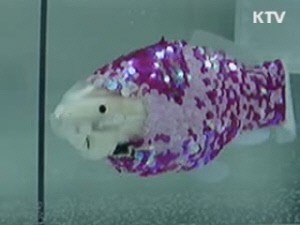 로봇물고기 (KTV 캡처)