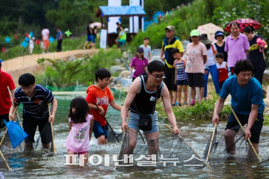 평창, 1일부터 더위사냥 축제 개막