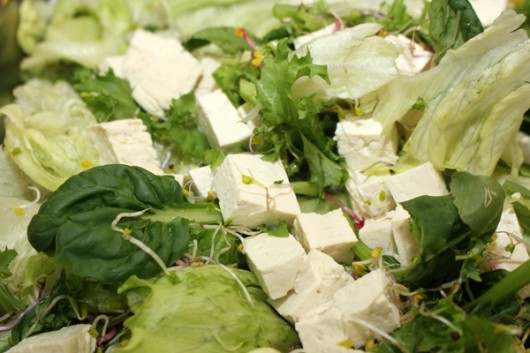 영양만점 두부로 만드는 요리 ‘두부샐러드&amp;두부쑥갓무침’