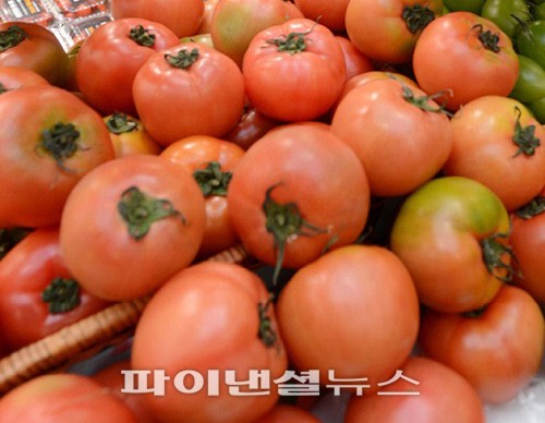 “토마토 먹으면 전립선암 위험 줄어든다”