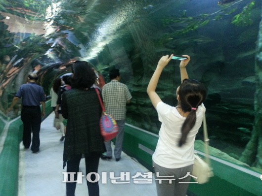 서울 송파구 잠실 제2롯데월드 사전개방행사에 참여한 시민들이 수족관을 둘러보고 있다.