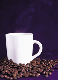 2005년 LA 첫 진출 한국 커피 전문점, 美 대륙 사로잡다
