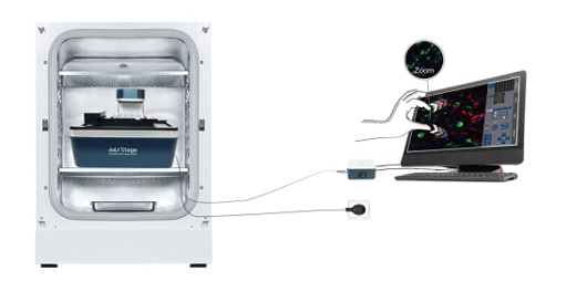 나노엔텍 세포 모니터링 분석, 하이엔드제품 '줄리 스테이지'