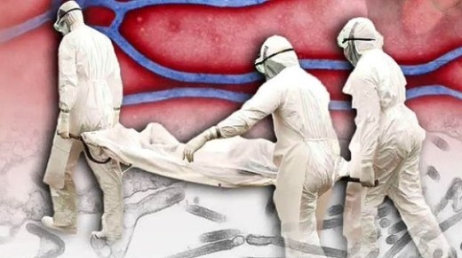 베트남 에볼라 의심환자, 기니지역 근로자 출신...아시아 ‘에볼라’ 비상