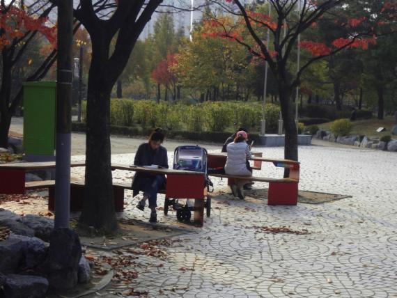 경기도 부천시는 도시공간에 활력을 불어넣고 시민들의 생활 만족도를 높이기 위해 중앙공원 등 4곳에 디자인벤치 20개를 설치했다. 중앙공원 숲속도서관 앞에 설치된 독서벤치에서 시민들이 독서를 책을 보고 있다.