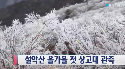 상고대의 의미, ‘나무서리’ 또는 ‘나무에 내려앉은 눈꽃’ 보러 오세요!