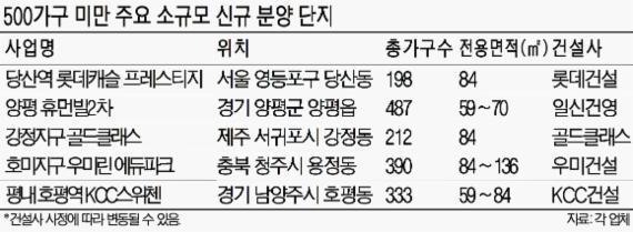 '값싼 가격·생활인프라' 갖춘 500가구 미만 단지 인기