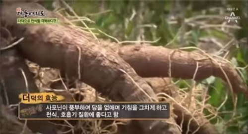 더덕 효능, 한의학서 인삼 대용으로 각광..어떤 사람에게 좋나?