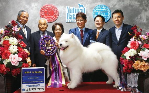 한국애견연맹(KKF)이 선정한 2014년 최고의 견공 슈렉과 프로 핸들러 이용재씨(왼쪽 네번째)