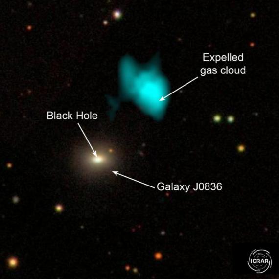 연구팀이 논문제 게재한 은하 이미지. 은하 J0836과, 블랙홀, 그리고 저장된 가스를 뿜아내는 은하의 주변에는 가스 구름이 형성되어 있는 것을 볼 수 있다. 사진=ICRAR