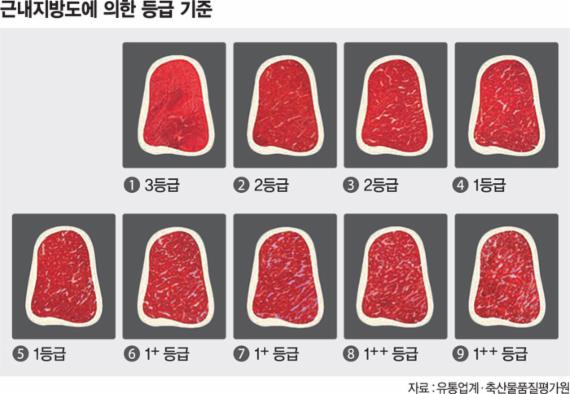 한우 1등급만 3개.. 헷갈리는 등급제, 단순화 목소리 커져