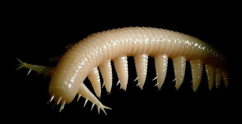 풍문으로 들었소, DJ 소다, AOA 초아, 유통기한 지나도 괜찮은 음식, 빌딩풍 의미, 아이쉐아이아 뜻, 여성에게 위험한 여행지, 얼굴커지는 습관, 피자가 탄생한 곳, 연말정산 분납, 이준 고아성, '풍문으로 들었소', 이태성 이혼, 3월 대형 황사