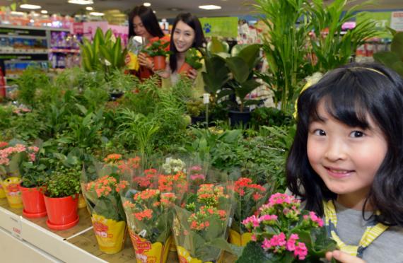봄맞이 원예·인테리어용품 대전