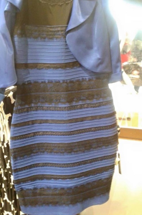 드레스 색깔 논란, 미국 전문 매체 “이건 파란색 입니다”