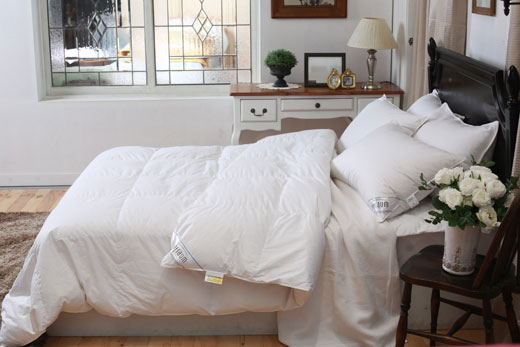 소프라움 시베리아산 구스다운이불