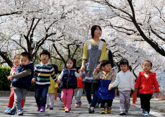 지난해 현대차 벚꽃축제 행사장을 찾은 어린이집 교사와 아이들이 벚꽃을 구경하며 즐거운 한때를 보내고 있다.