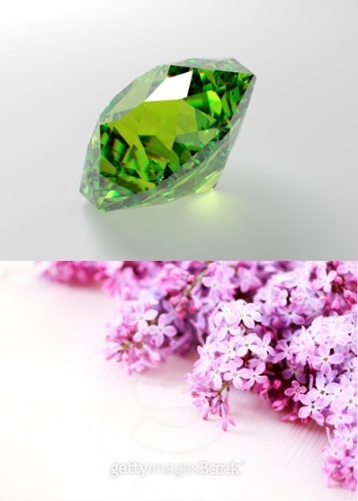 5월의 탄생석, 에메랄드...5월 탄생화는 무엇? ‘향기로운 꽃 라일락’