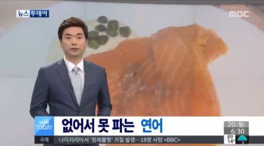 연어의 효능, 없어서 못먹는 ‘연어’ 뇌세포 발달에 도움 줘 ‘노화 방지’