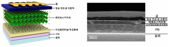 울산지역 대학 공동연구진 신개념 광전소자 개발