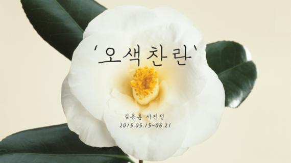 캐논, 김용훈 작가의 '오색찬란' 사진전 개최