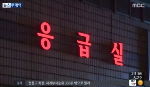 개에 물려 숨져, 핏불테리어에 희생된 2살 여아 ‘가슴·겨드랑이’ 물린 자국 선명