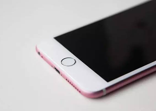“이것이 아이폰6S 로즈골드“ 사진 등장 눈길