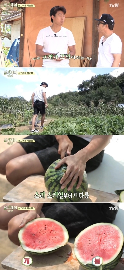 ‘삼시세끼’ 옥택연-김광규, 옥순봉 표 수박 개봉 ’빨갛게 잘 익었네‘