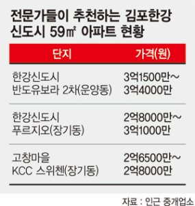 [갈수록 더해가는 전세난, 당신의 선택은?] (上) '여의도 출퇴근' 30대 예비 부부, 신혼집 어디에 어떻게 마련해야 하나