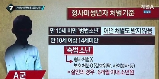 캣맘 사망사건 용의자 초등학생, 어떤 처벌도 내릴 수 없다?