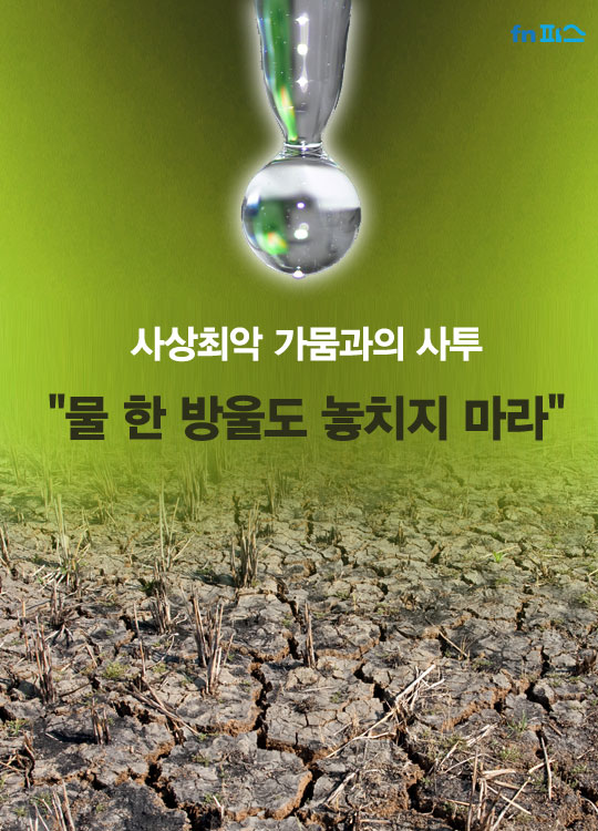 [카드뉴스] 가뭄과의 사투.. "물 한 방울이라도 놓치지 마라"