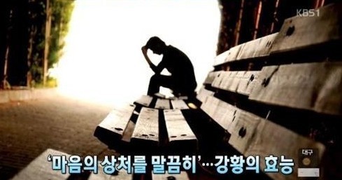 강황의 성미와 효능, 쿠르쿠민 성분 ‘공포적 기억’에 대한 망각 돕는다