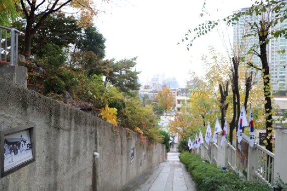 '청라언덕과 같은 내 맘에 백합같은 내 동무야~' 학교 때 흥얼거리던 '동무생각'의 그 청라언덕에서, 대구 100년의 역사 여행은 시작된다. 3·1만세 운동길(사진), 민족시인 이상화 고택을 지나는 골목 투어는 근대와 현대가 공존한다. 비운의 가수 김광석의 삶과 음악을 테마로 한 벽화거리 '김광석 다시 그리기 길'도 빠뜨릴 수 없는 명소다. 사진=이정호 선임기자