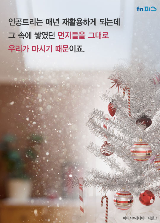 [카드뉴스] '크리스마스 트리'가 가족의 건강을 위협한다