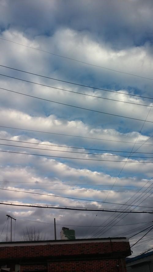제주 지진 20분전 올라온 '양떼' 모양 구름 사진... 지진 알리는 '지진운'?