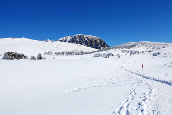 [호텔 단신] 제주신라호텔 '한라산 눈꽃 트레킹' 진행