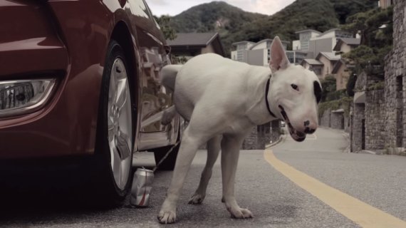 이노션, 환경부 공익캠페인으로 서울영상광고제 그랑프리