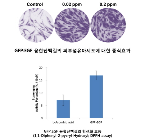 넥스젠바이오텍, 새로운 융합단백질 ‘하이브리드 프로테인’ 개발 성공