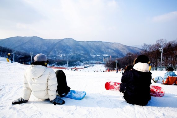 파인리조트, 통일배 초·중·고 전국 알파인 스키대회 연다