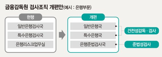 금감원 조직개편 단행, 금융소비자 보호기능 대폭 강화