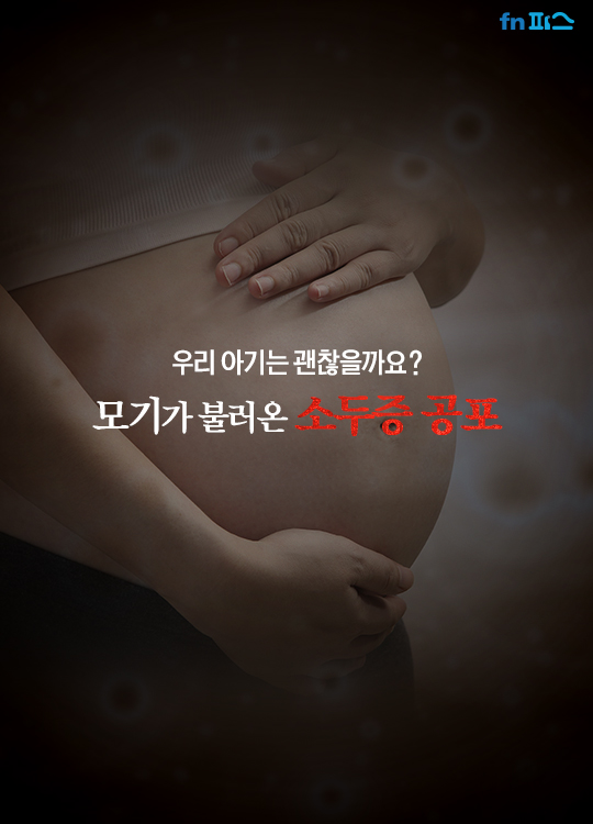 [카드뉴스] '우리 아기는 괜찮을까요?' 모기가 불러온 소두증 공포