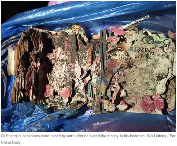 ▲사진=차이나데일리 캡처