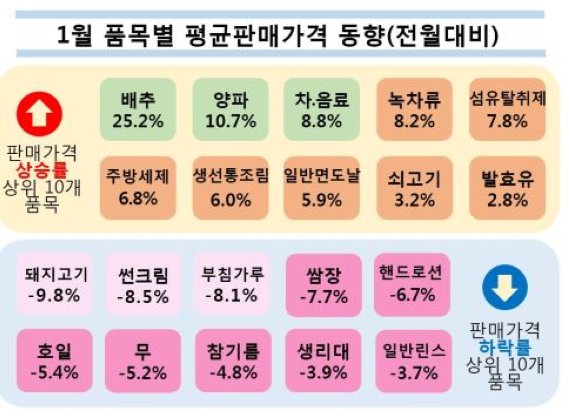 지난달 배추값 25% 올라… 양파는 1년만에 81% '폭등'