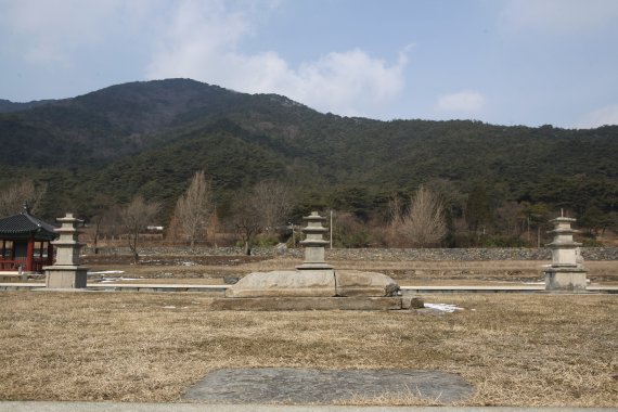 충남 보령 성주산 자락에 둥지를 튼 옛 절터 성주사지는 낭혜화상탑비 등 국보 1점과 보물 3점 등 천년의 역사를 간직한 유물을 품고 있다.