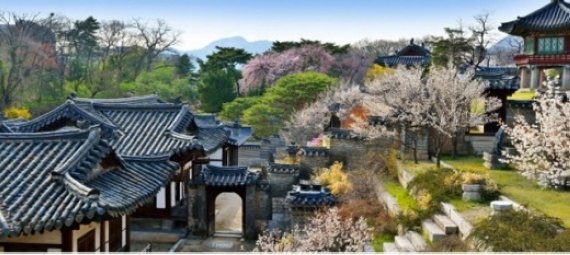 ‘꽃대궐’ 관람, 궁궐에 꽃은 언제피나?…‘평년 1~4일 빠를 것’ - 파이낸셜뉴스