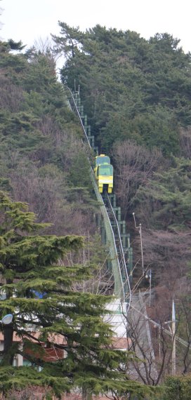 모노레일카를 타고 올라갈 수 있는 제황산공원에선 벚꽃으로 뒤덮인 진해 시가지와 푸른 남해바다를 한눈 에 내려다 볼 수 있다. 사진=이정호 선임기자